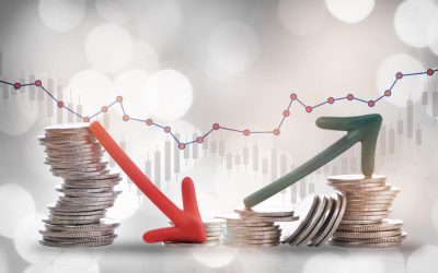 Studying the Market